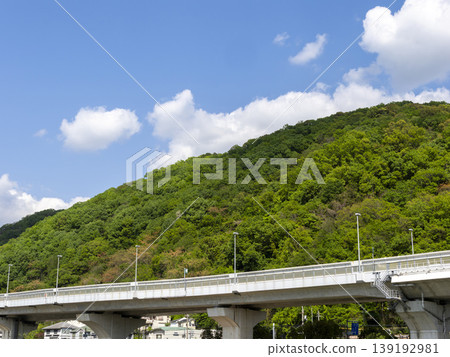 春天,五月山的景色和高架道路都被新鮮的綠色植物覆蓋著。 春天,五月山的景色和高架道路都被新鮮的綠色植物覆蓋著。 139192981
