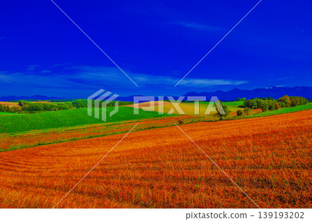鄉村景觀 139193202