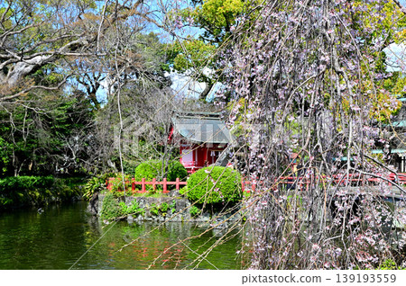 Mishima Taisha Shrine, Itsukushima Shrine Mishima Taisha Shrine, Itsukushima Shrine 139193559