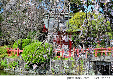 三島大社、嚴島神社 三島大社、嚴島神社 139193563