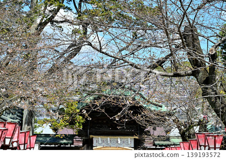 Mishima Taisha Shrine - Main Gate Mishima Taisha Shrine - Main Gate 139193572