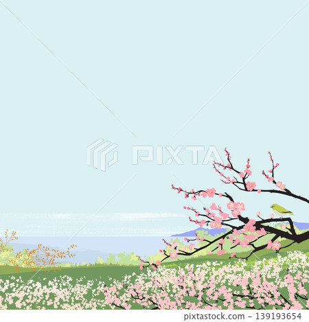 Seasonal landscape illustration (Spring): Plum blossoms and a slightly cloudy sky 139193654