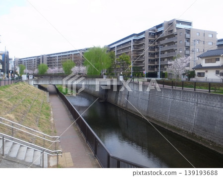 Shakujii河 139193688