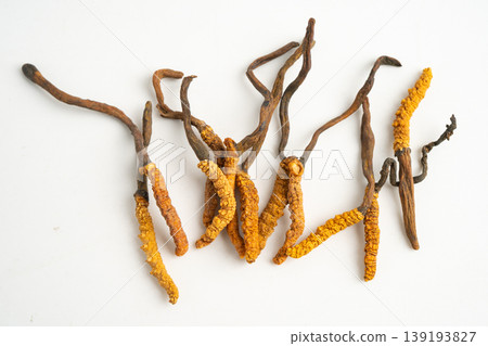 Cordyceps or Ophiocordyceps sinensis mushroom herb is fungus for used as medicine on white background. Cordyceps or Ophiocordyceps sinensis mushroom herb is fungus for used as medicine on white background. 139193827