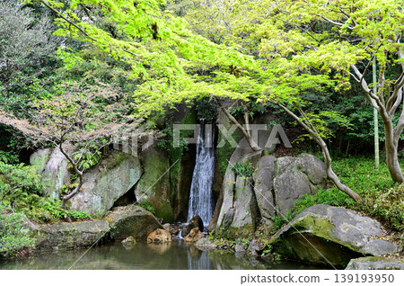 濱松城公園 濱松城公園 139193950