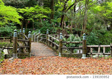 濱松城公園 139193952