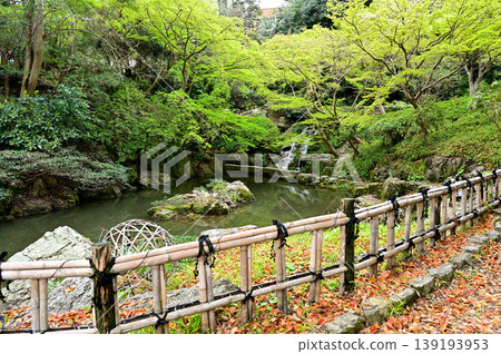 濱松城公園 濱松城公園 139193953
