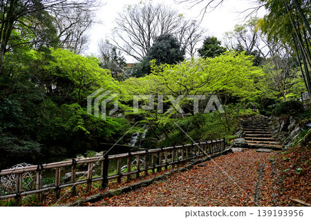 Hamamatsu Castle Park 139193956