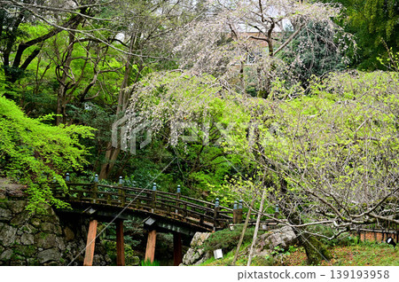 濱松城公園 濱松城公園 139193958