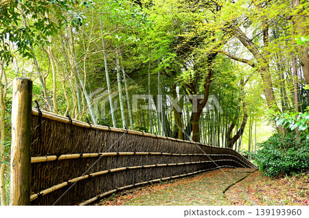 濱松城公園 濱松城公園 139193960