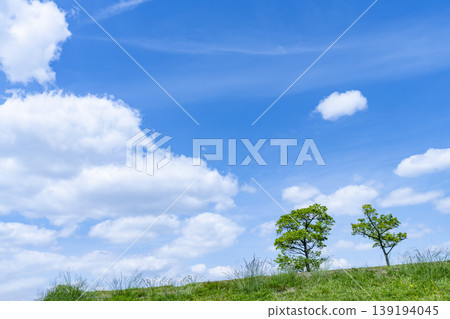 Spring blue sky, clouds, and grassland Spring blue sky, clouds, and grassland 139194045