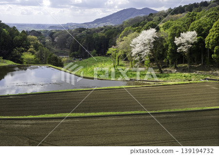 Rice paddies before cultivation - Japanese countryside - Spring scenery 139194732