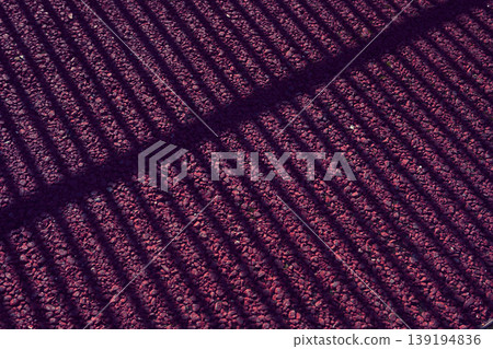 The shadow of a fence on the asphalt The shadow of a fence on the asphalt 139194836