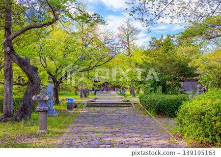 仙台木下公園綠樹成蔭,藥師堂 仙台木下公園綠樹成蔭,藥師堂 139195163