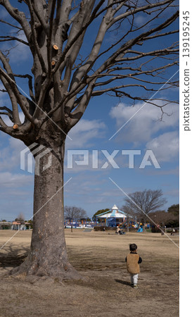 A vertical image of a large dead tree and a small child. A vertical image of a large dead tree and a small child. 139195245