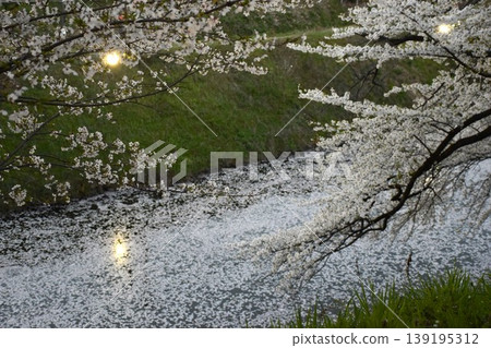 Kajo Park: Cherry blossom rafts on the moat of Yamagata Castle Kajo Park: Cherry blossom rafts on the moat of Yamagata Castle 139195312