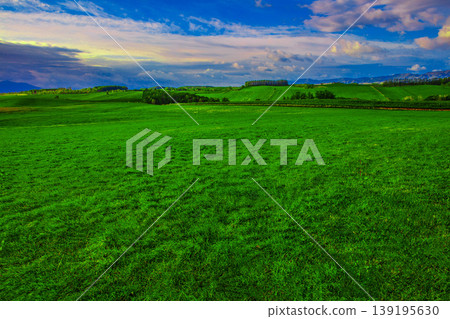Vast prairie 139195630