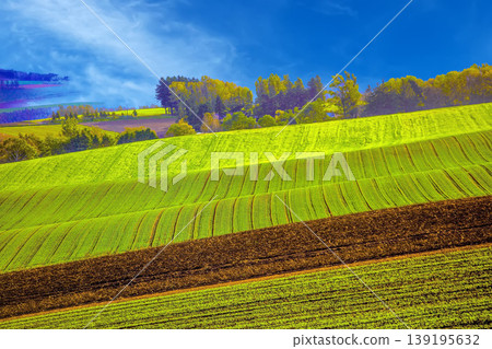 Rural landscape 139195632