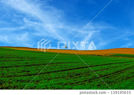 Rural landscape 139195633