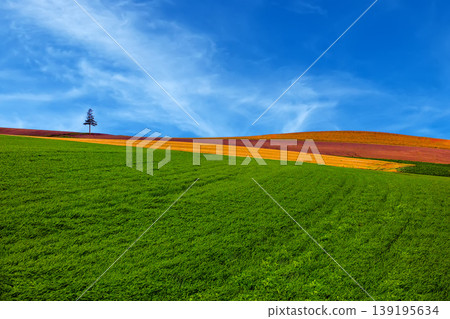 Rural landscape Rural landscape 139195634