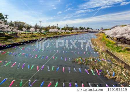 與鯉魚飄帶的風景 與鯉魚飄帶的風景 139195819