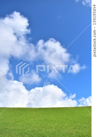 Blue sky and grassland / Okinawa Blue sky and grassland / Okinawa 139195854