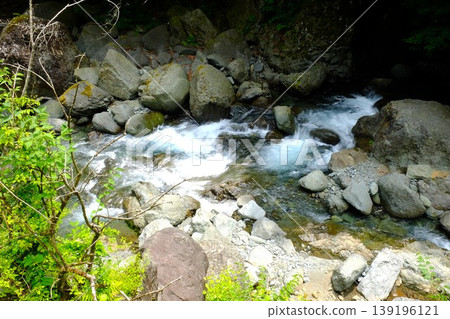 [Kanagawa Prefecture] A small waterfall flowing through lush greenery 139196121