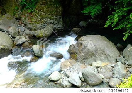 [Kanagawa Prefecture] The small waterfall of Hayatogawa 139196122