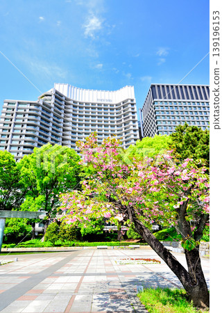 Springtime at the Imperial Palace Outer Garden, near the Wadakura moat, Palace Hotel 139196153