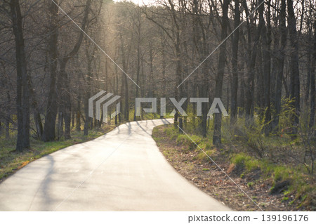 An asphalt road in a park against the backdrop of a sunlit spring forest. 139196176