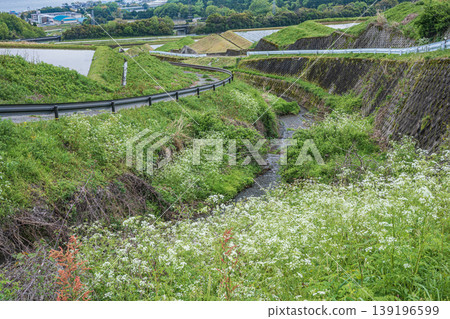 Terraced rice fields of Hachiyado, Otsu City, Shiga Prefecture Terraced rice fields of Hachiyado, Otsu City, Shiga Prefecture 139196599