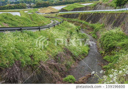 Terraced rice fields of Hachiyado, Otsu City, Shiga Prefecture Terraced rice fields of Hachiyado, Otsu City, Shiga Prefecture 139196600