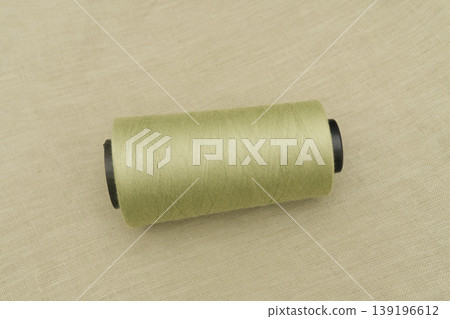 Spool of Light Green Thread for Sewing and Crafting Projects Spool of Light Green Thread for Sewing and Crafting Projects 139196612