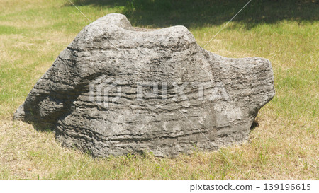 Close-up of layered rock formation on grassy field.	 139196615