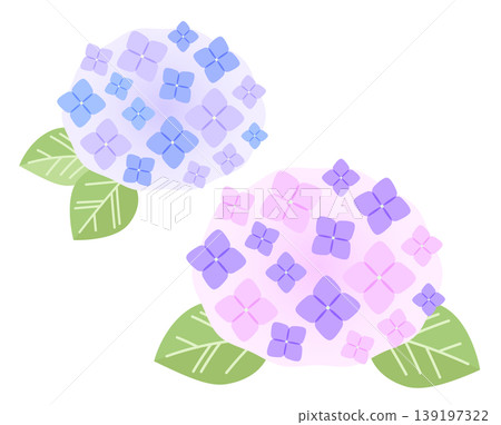繡球花插圖。粉紅色和紫色的繡球花。 139197322