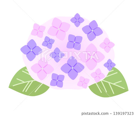 An illustration of a hydrangea flower. A pink hydrangea. 139197323