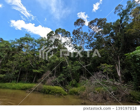 Kuranda Kuranda 139197818