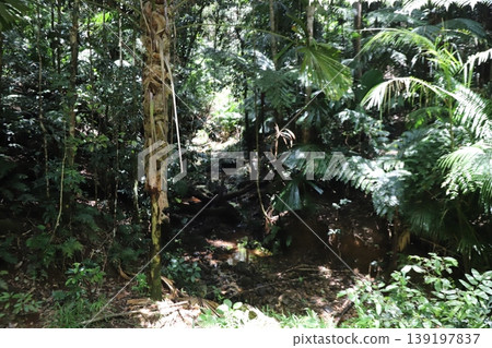 Kuranda Kuranda 139197837