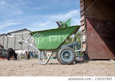 Green farm wheelbarrow with garden tools parked next to a rustic wooden shed, bathed in bright summer sunlight 139197865