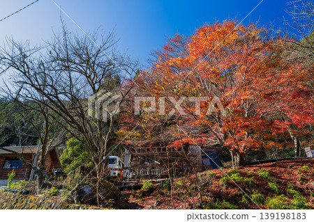 川根本町寸又峽溫泉的紅葉景色(靜岡縣) 川根本町寸又峽溫泉的紅葉景色(靜岡縣) 139198183