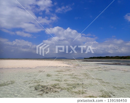 竹富島的海灘 竹富島的海灘 139198450