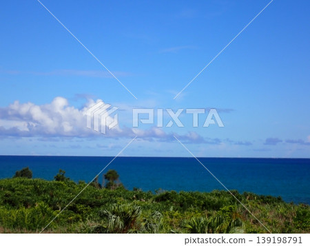 奧巴馬海 奧巴馬海 139198791