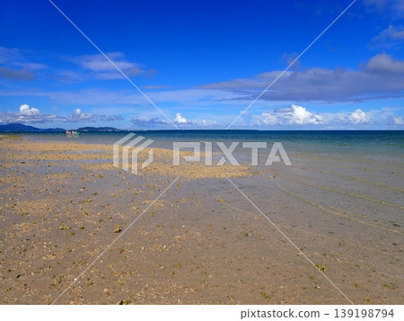 Obama Sea Obama Sea 139198794