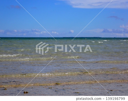 奧巴馬海 奧巴馬海 139198799
