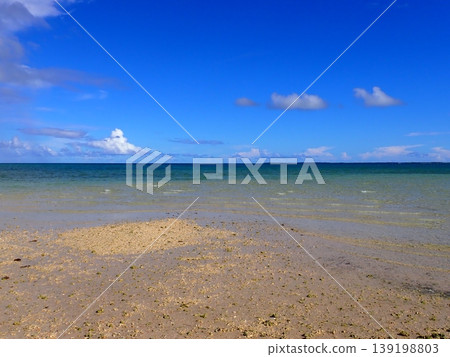 奧巴馬海 奧巴馬海 139198803