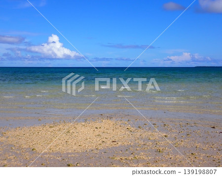 奧巴馬海 奧巴馬海 139198807