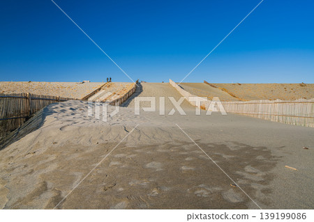靜岡縣濱松市中田島沙丘的景色 靜岡縣濱松市中田島沙丘的景色 139199086