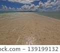 Hamajima 139199132