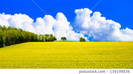 A composite image of the beautiful rural landscape of Biei and cumulonimbus clouds. A composite image of the beautiful rural landscape of Biei and cumulonimbus clouds. 139199836