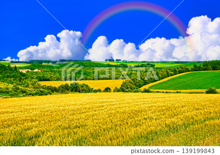 A composite image of the beautiful rural landscape of Biei and cumulonimbus clouds. A composite image of the beautiful rural landscape of Biei and cumulonimbus clouds. 139199843